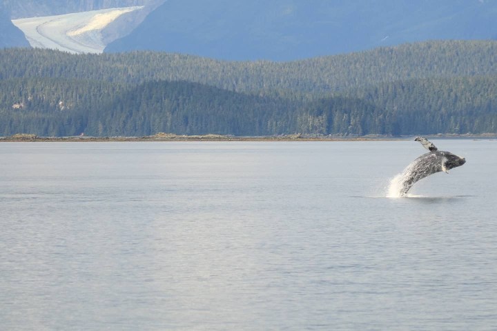 a large body of water with a mountain in the background